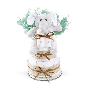 Alder Creek Gift Baskets Wild About Baby Two-Tier Diaper Cake Gift - 1 of 1