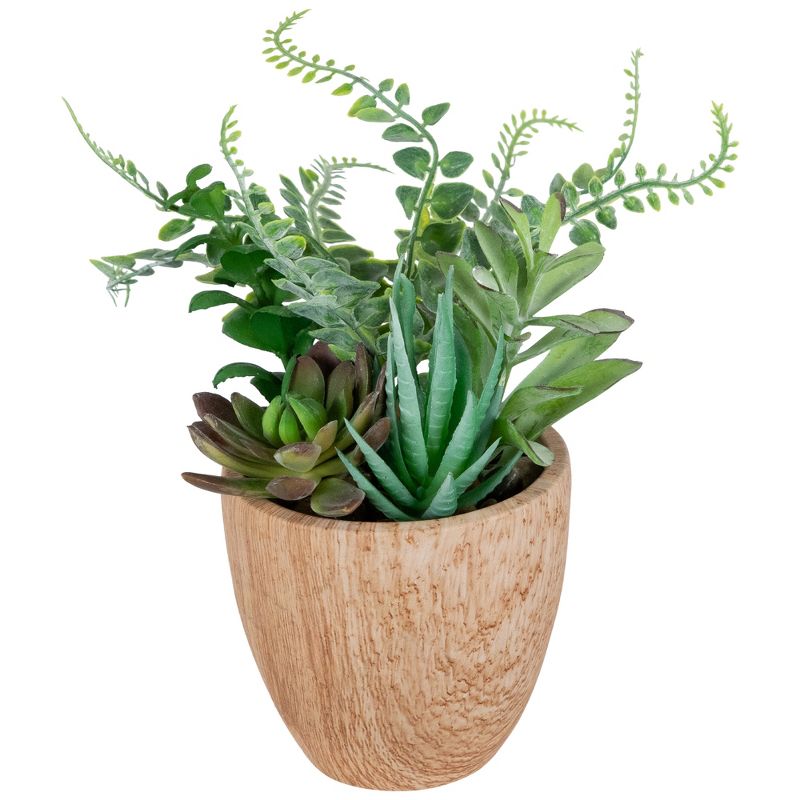 Northlight 12" Mixed Succulents and Fern Artificial Potted Arrangement - Green/Brown, 3 of 7