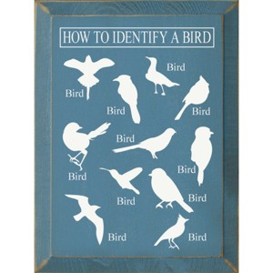 Slickblue Bird Guide Wooden Sign, Knotty Pine 9x12 Inch Wall Decor, Rustic Style, Color Options - 1 of 3