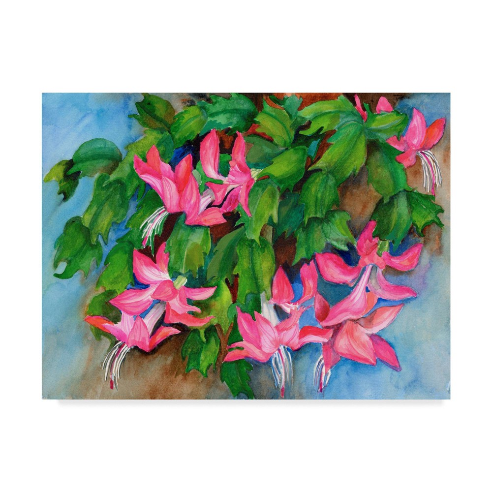 24" x 32" Christmas Cactus by Joanne Porter - Trademark Fine Art