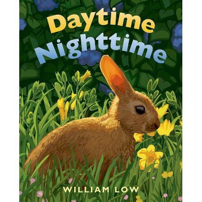  Daytime Nighttime - by  William Low (Board Book) 