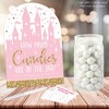 Big Dot of Happiness Little Princess Crown - How Many Candies Pink Baby Shower or Birthday Party Game - 1 Stand and 40 Cards - Candy Guessing Game - 2 of 4