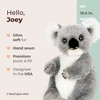 Bearington Lil' Joey Koala Bear: Stuffed Plush Koala, Ultra-Soft 10.5" Plush Toy, Expressive Face and a Velour Belly - 3 of 4