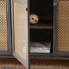 Piran 4 Door 2 Shelf Media Stand - MED9611 - Safavieh - 2 of 4