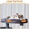 Heybly Cat Tree，71-Inch Tall Tower for Indoor Cats with 2 Perches - 3 of 3