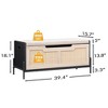 Storage Bench with Cushion, Rattan Entryway Bench with Storage, Shoe Storage Chest End of Bed Bench with Side Handles, Living Room Organizer Seat - 3 of 4
