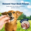 Nudges Blue Buffalo Jerky Cuts Natural Dog Treats with Chicken - 16oz - 4 of 4
