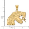 Black Bow Jewelry 10k Yellow Gold Florida A&M Rattlers NCAA Large Pendant - 2 of 3