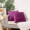 Unique Bargains Velvet Modern Solid Couch Sofa Home Decorative Pillow Covers 2 Pcs - 2 of 4