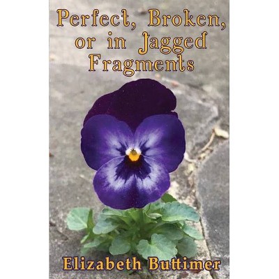 Perfect, Broken or in Jagged Fragments - by  Elizabeth P Buttimer (Paperback)