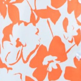 spiced red mono floral