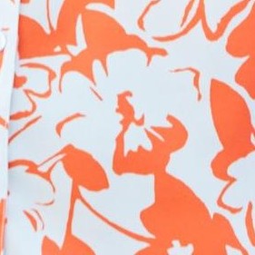 spiced red mono floral