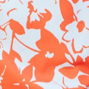 spiced red mono floral