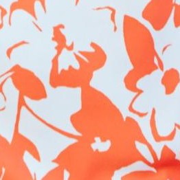 spiced red mono floral