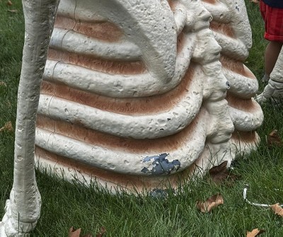 Guest review image 1 of 2, zoom in