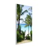 Stupell Industries Palm Trees Near Beach, 13" x 19" - 3 of 4