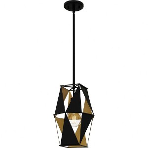 Quoizel Lighting 1 - Light Pendant in  Matte Black - 1 of 1