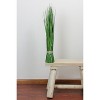Northlight Artificial Onion Grass Bundle Wrapped with Jute Rope Decoration - 30.25" - Green - 4 of 4