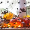 Racxily 40PCS Plastic Spiders, Black Realistic Plastic Fake Scary Spiders For Halloween Prank Props Halloween Plastic Spider - 4 of 4
