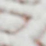 off white, rust, dark pink