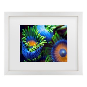 Trademark Fine Art - Santiago Pascual Buye The Colors Of The Reef Ii Matted Framed Art - 1 of 4