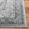 Adirondack ADR108 Machine Made Indoor Rug - Safavieh - 2 of 4