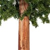 Vickerman Natural Bark Alpine Artificial Christmas Tree Set PreLit - 4 of 4