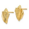Black Bow Jewelry Textured Conch Shell Post Earrings in 14k Yellow Gold - 2 of 4