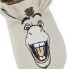 Shrek & Donkey Adult Mules - 3 of 4