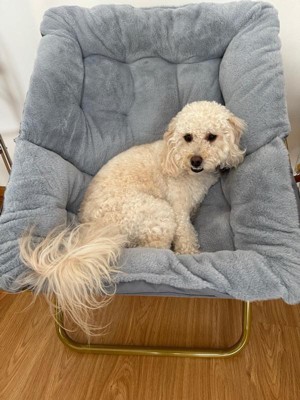 Dog saucer chair outlet