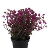 Unique Bargains Artificial Plants Bellflower Decorative Pot Plastic 3.74"x3.74"x10.63" 1 Pc - 4 of 4