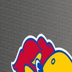 kansas jayhawks