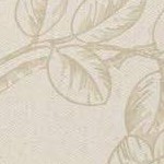 Toile Floral Stucco
