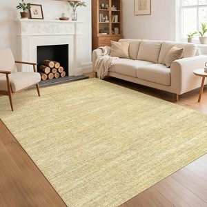 Coucheta Rug for Bedroom Machine Washable Area Rugs with Non Slip Backing Non Shedding Stain Resistant Minimalist Floor Cover Carpet Low Pile - 1 of 4