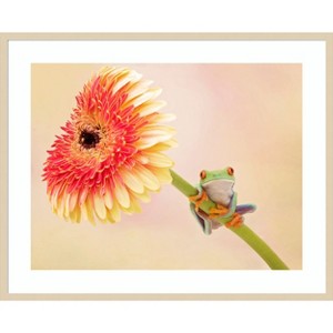 Amanti Art Hanging On IX by PHBurchett Wood Framed Wall Art Print - 1 of 4