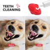Prime Pets Dog Toys for Aggressive Chewers, Squeaky Tough Rubber Chew Toy for Large Medium Dogs, Red - 4 of 4
