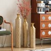 KWPZQEB Metal Vase Set of 3, Home Decorative Vase, Retro Vases For Kitchen, Bedroom, Office, Living Room & Table Centerpiece, Gold (34"¡Á29"¡Á25 '') - 3 of 4