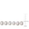 7.5-8mm Cultured Freshwater Pearl Necklace in Sterling Silver - 18" - White - 4 of 4