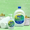 Softsoap Moisturizing Liquid Hand Soap Refill - Soothing Aloe Vera - 50 fl oz - 2 of 4