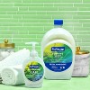 Softsoap Moisturizing Liquid Hand Soap Pump - Soothing Aloe Vera - 7.5 fl oz - image 2 of 4