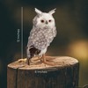 Decorae Fake Stuffed Owl Figure, 11in Tall Bird; Craft, Halloween Prop or Christmas Tree Topper Use - 3 of 4