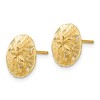 Black Bow Jewelry 12mm Polished Sand Dollar Post Earrings in 14k Yellow Gold - 2 of 4