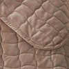 Isla Jade Twin/Twin Extra Long Stitch Velvet Quilt Bedding Set Brown - 2 of 4