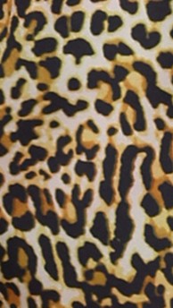 leopard print