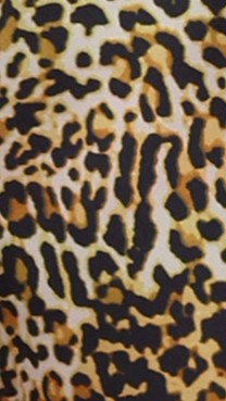 leopard print