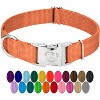 Country Brook Petz Premium Nylon Dog Collar with Metal Buckle for Small Medium Large Breeds - Vibrant 30+ Color Selection - 2 of 4