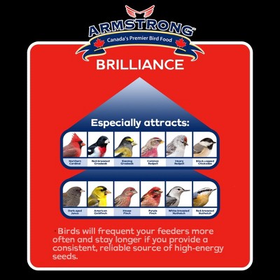 Royal Jubilee Brilliance Suet Cake Pack for Wild Birds