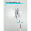 BLACK+DECKER 18-Inch Pedestal Fan, Oscillating Fan for Home and Office, with 3 Speed Settings, Adjustable Height  and Fan Head Tilt - 3 of 4