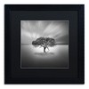Trademark Fine Art - Moises Levy 'Water Tree VIII' Matted Framed Art - 2 of 3