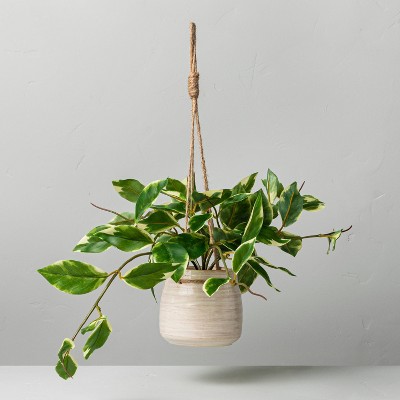 8" Faux Variegated Hoya Leaf Hanging Plant - Hearth & Hand™ with Magnolia